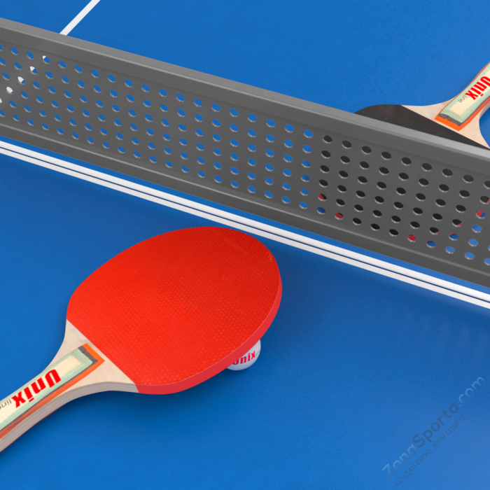 Антивандальный теннисный стол Unix Line 14 mm SMC (Blue/Grey)