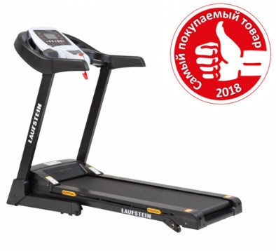 Laufstein Laufstein