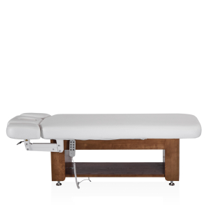 Электрический стационарный массажный стол Mizomed Alexander A-Salon
