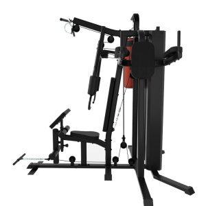 Мультистанция 3-х позиционная Gymmaster FC6015