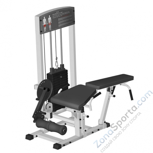 Сгибание-разгибание ног Iron King IK 12 (1350*900*1700)