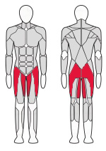 Тренажер для приводящих и отводящих мышц бедра Fitex Pro FTX-7360